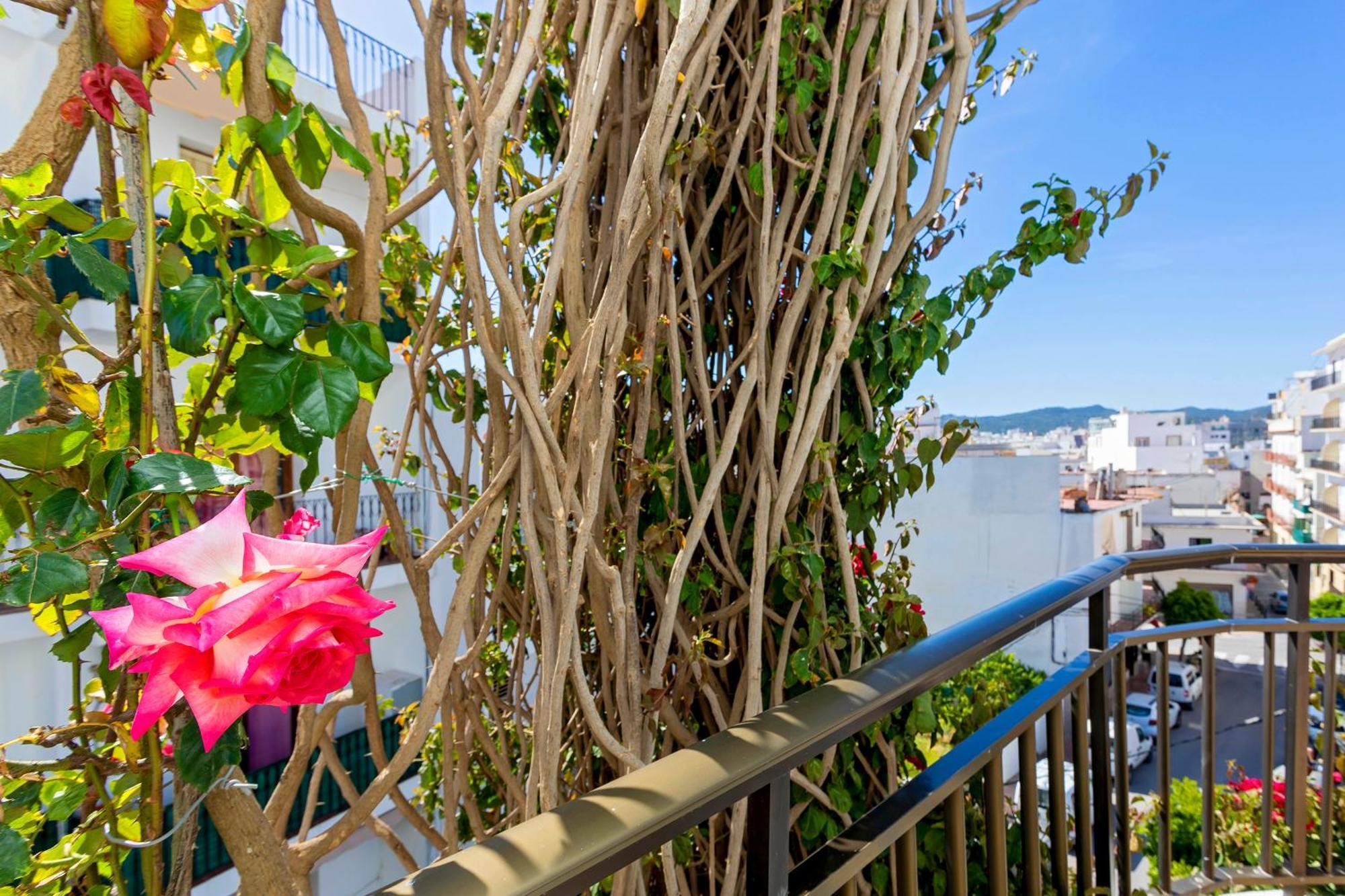 Hostal Manolita Sant Antoni de Portmany Dış mekan fotoğraf